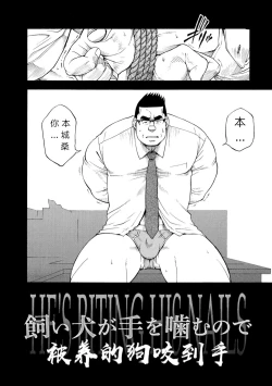 Page 3 of Kaiinu ga te o Kamunode | 被养的狗咬到手