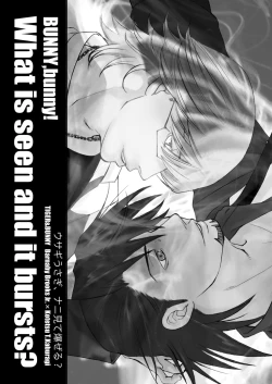 Page 2 of Usagi Usagi, Nani Mite Hazeru