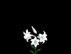 Page 64 of "Yuri no Omokage"