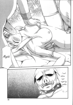 Page 7 of Hajime Taira Type H, Chapter Princess Elicia Translated and ***Edited***