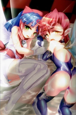 Page 15 of Shinyaku Banmaden