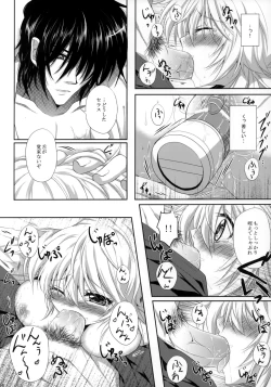 Page 13 of Crime si pedeapsa