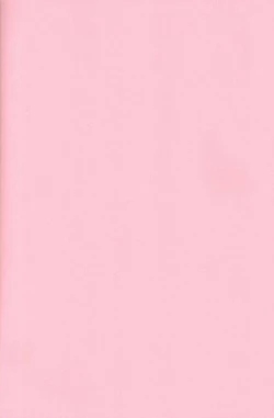 Page 41 of Untouchable Girls