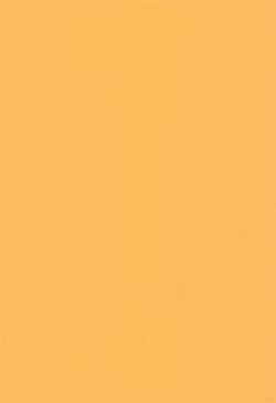 Page 3 of Aliya-san Debut shichaimashita