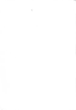 Page 3 of Futanarikko Lovers 3