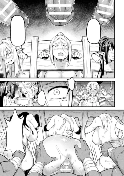 Page 13 of Elf no Tsukaimichi