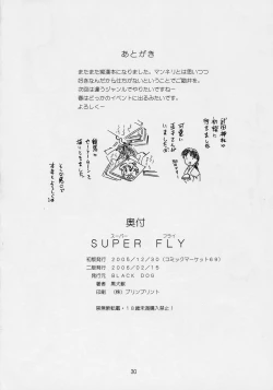 Page 29 of Super Fly