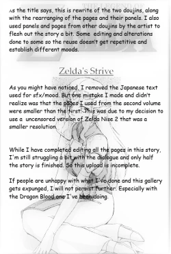 Page 2 of Legend of Zelda; Zelda's Strive