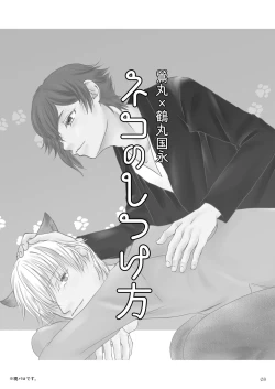 Page 2 of Neko no Shitsukekata