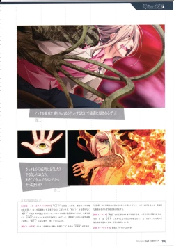 Page 105 of 3rdEye Official Visual Fan Book RERUM MEMORIA