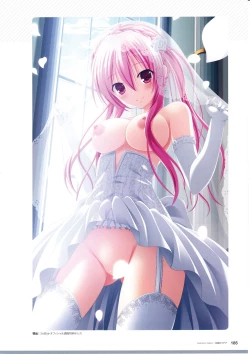 Page 187 of 3rdEye Official Visual Fan Book RERUM MEMORIA