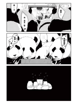 Page 23 of Panda Teaching