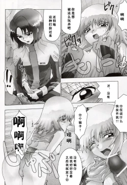 Page 10 of Ketsu Megaton Seed【零食汉化组】