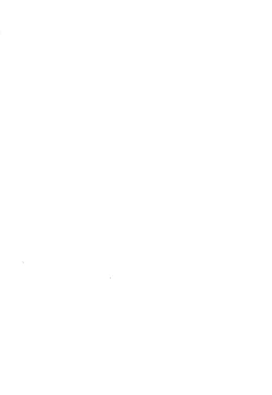 Page 2 of ECO Millennium!!