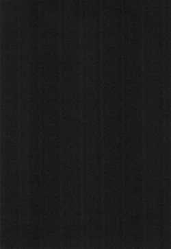 Page 4 of Akai Youran