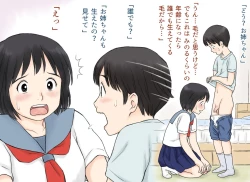 Page 8 of Sei ni Kyoumi o Mochihajimeta Ane to Otouto no Hatsutaiken