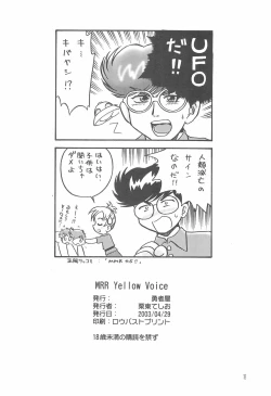 Page 18 of MRR Yellow Voice