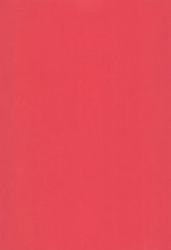 Page 3 of NEVER, NEVERLAND