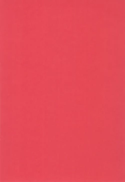 Page 4 of NEVER, NEVERLAND