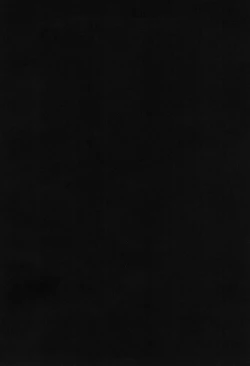 Page 33 of DUSTOID DD