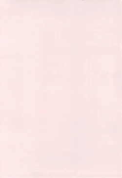 Page 3 of Uryuu to Orihime no Ecchi na Sairoku Hon!