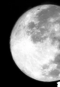 Page 10 of Remilia Ojou-sama no Bonnou