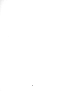 Page 20 of A! Yasei no Suiren ga Tobidashite Kita!