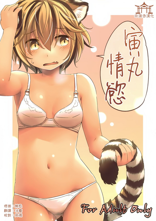 Download Toramaru Passion