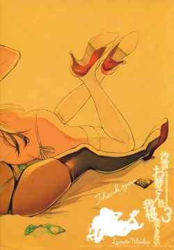 Page 28 of Sayuki Onee-san wa Gaman ga Dekinai 3