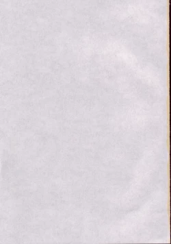 Page 47 of CAPTIVE 3+4