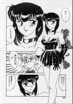 Page 102 of Serina MDS - Magical Delivery Service