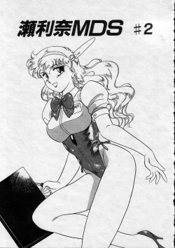 Page 23 of Serina MDS - Magical Delivery Service