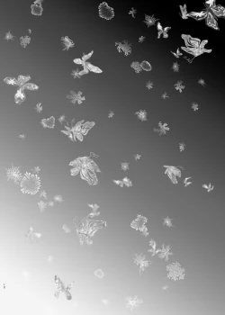 Page 11 of Kiss no Aji to Samenai Netsu to