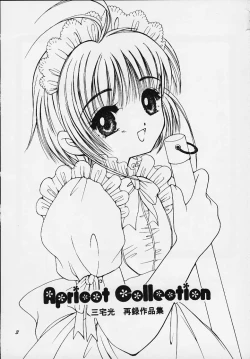 Page 2 of Apricot Collection