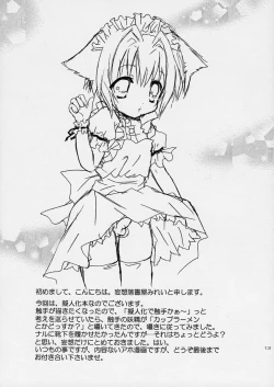 Page 13 of Hachimitsu Note