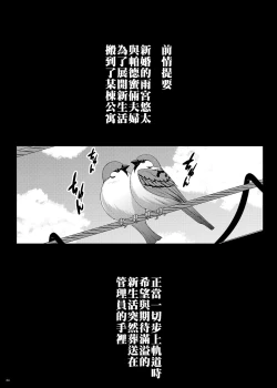 Page 4 of Tsumareta Ikoku no Hana II | 被摘取的異國之花Ⅱ
