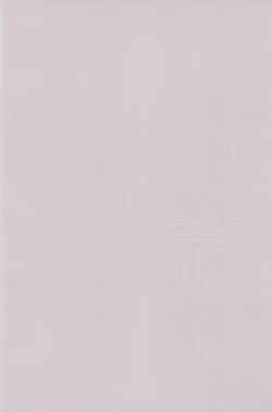 Page 3 of Toukai Chiiki Genteiteki Ramen-ya Kanban Musume Soushuuhen