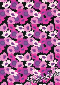 Page 16 of Cosplay Reitaisai o Katte Shimatta.