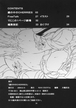 Page 33 of Kagami no Naka no CHERRIES