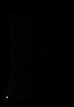 Page 28 of Nitamono Doushi【不可视汉化】