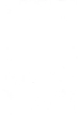 Page 4 of Momoiro Hiyoko 2