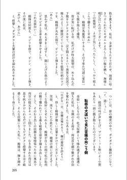 Page 207 of Tenpou Momoiro Suikoden 3