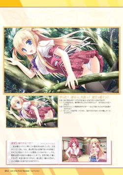 Page 15 of Hanairo Heptagram visual fanbook