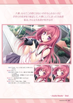 Page 37 of Hanairo Heptagram visual fanbook