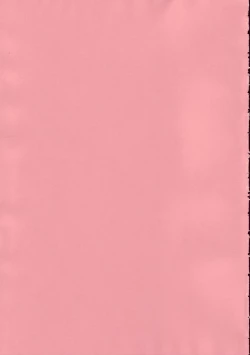 Page 2 of DEAD ZONE：04 MISOGYNY