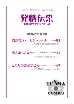 Page 2 of hatsujou densen ～iroka de madowasu bitchi na mesu dachi～