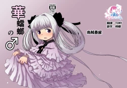 Page 1 of 華蟷螂の♂