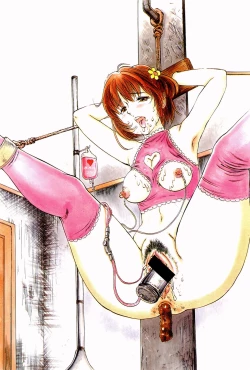 Page 8 of Waisetsu Shoukougun