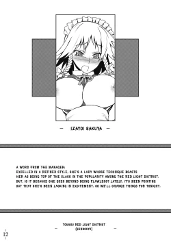 Page 13 of Touhou Yuukaku "Gensoukyou" e Youkoso | Welcome to Gensokyo Touhou Red Light District