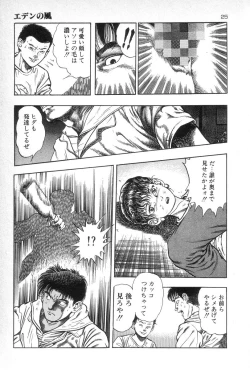 Page 27 of Eden no Kaze